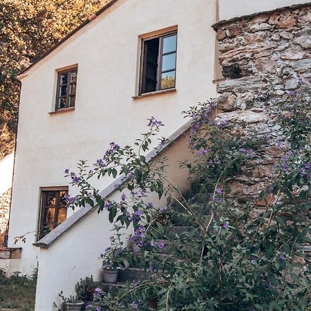 Le Petit Chateau Vezzi Portio Екстер'єр фото